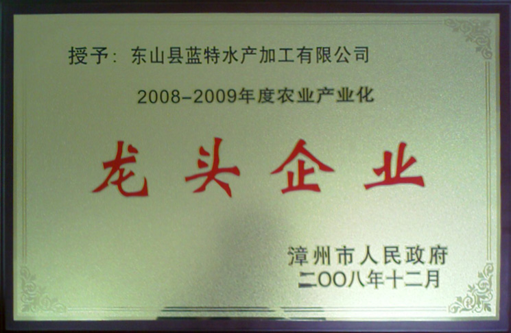 漳州市龍頭企業(yè)2008-2009年度